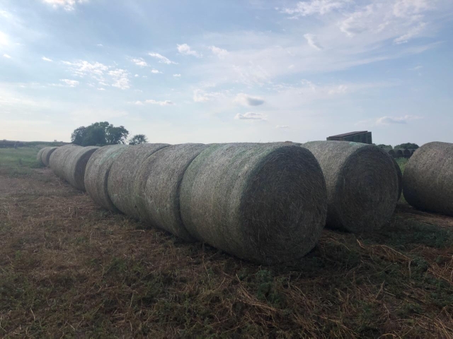 Wheat Straw Bales Nex Tech Classifieds