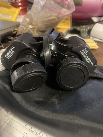 Bushnell Falcon Binoculars Nex Tech Classifieds