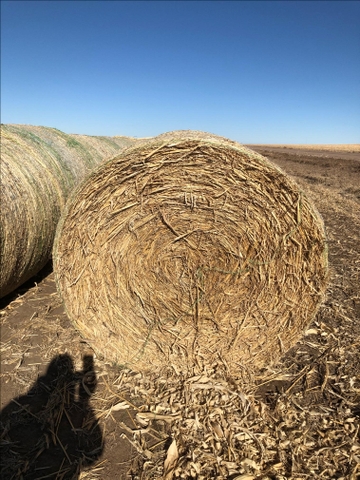 Cane Bales Nex Tech Classifieds