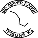 Big Dipper Ranch, LLC logo