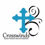 Crosswinds logo