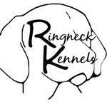 Ringneck Kennels logo