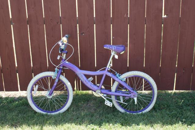 schwinn deelite blue