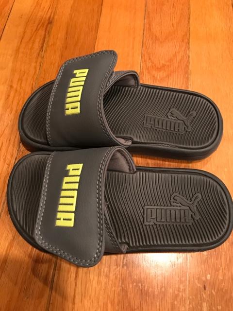 infant puma slides