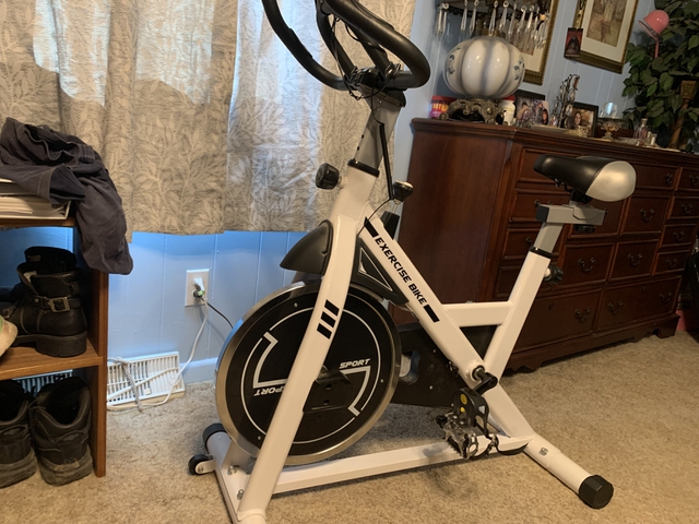 norflex spin bike spx 300 review