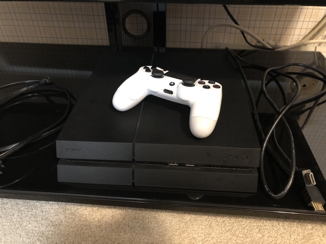 2 playstation 4 in one house