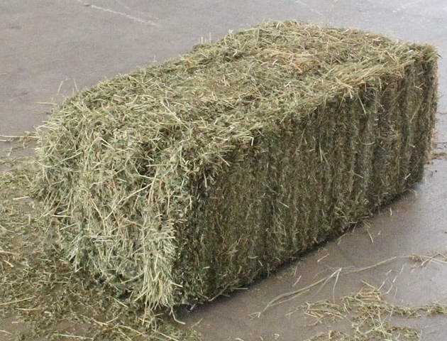 WTB small square alfalfa bales - Nex-Tech Classifieds