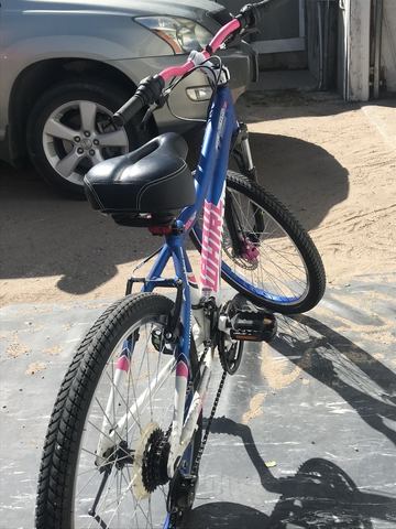 Used Genesis 24 Blue Whirlwind Girl s Mountain Bike Nex Tech Classifieds