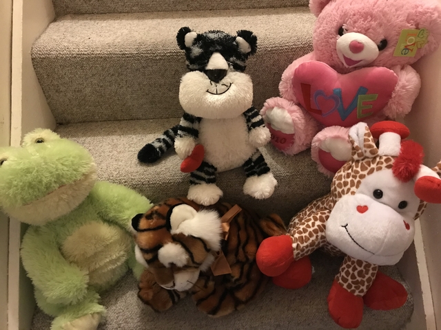 free stuffed animals by mail