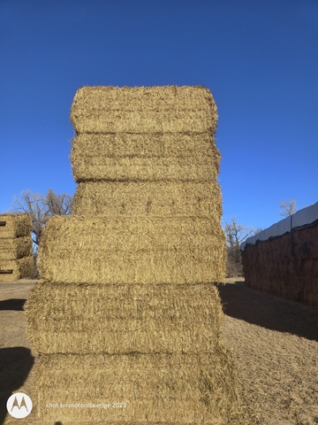 Straw Ex Straw for Sale - Nex-Tech Classifieds