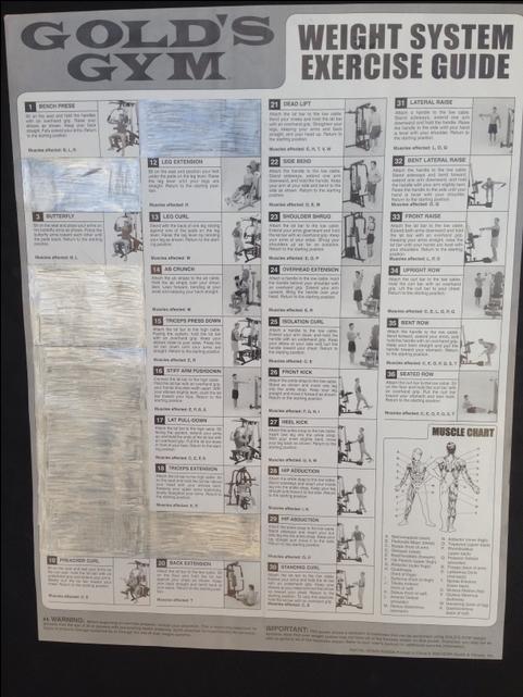 Gold's gym xr45 workout chart new arrivals