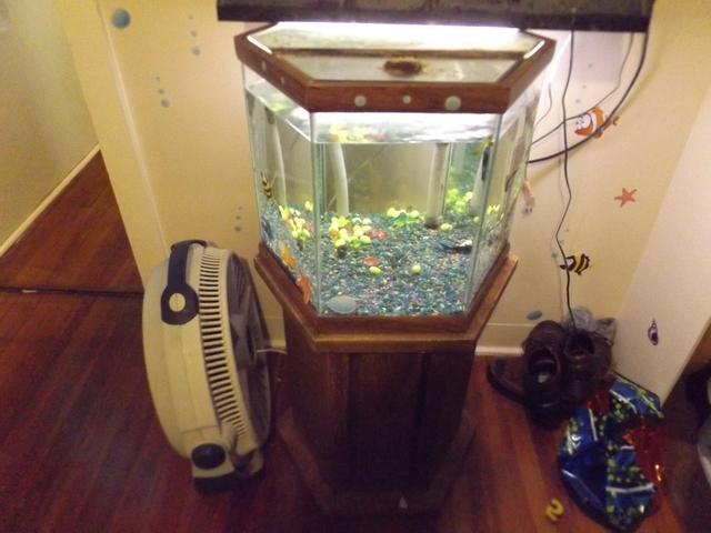 SOLD - 30 Gallon Fish Tank