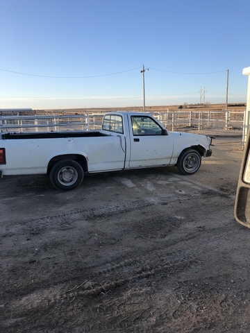 96 dodge Dakota - Nex-Tech Classifieds