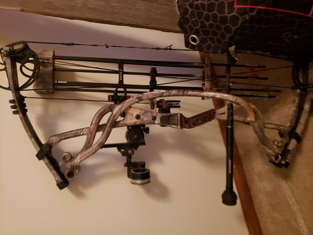 hoyt compound bow