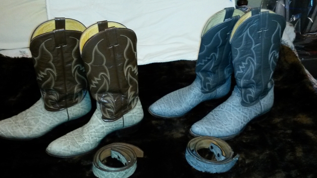 nocona boots elephant