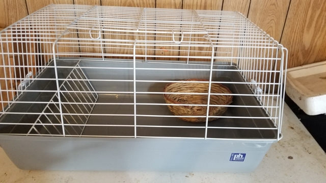 used small animal cages for sale