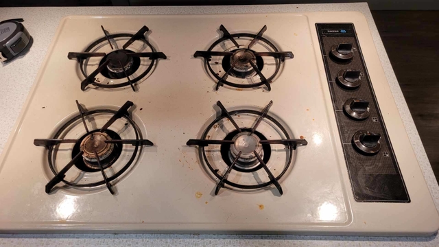 Propane Camp Stove - Nex-Tech Classifieds