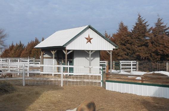 Small Barn Shed Nex Tech Classifieds