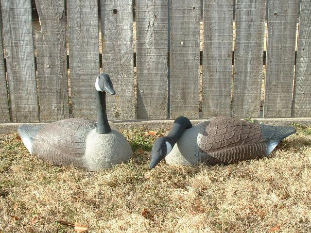 Goose Decoys For Sale >> Goose Decoys For Sale Goose Decoys For Sale >> Goose Decoys For Sale