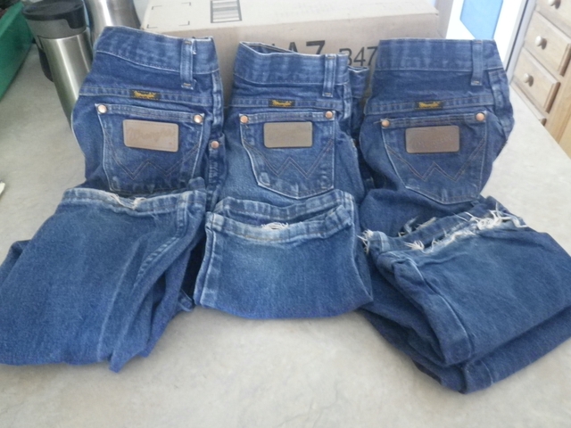 Three Boys Wranglers jeans sz 12 - Nex-Tech Classifieds