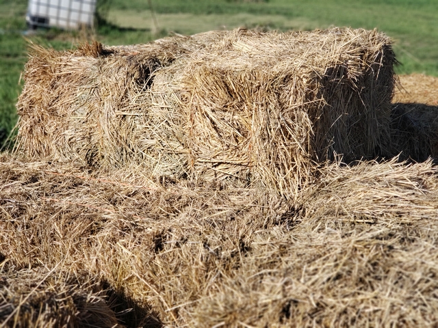 HAY - 20 BROME AND 10 ALFALFA (Best Offer) - Nex-Tech Classifieds