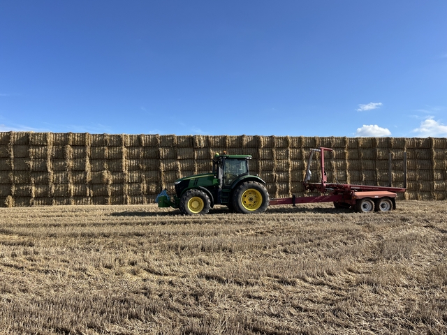 Custom Baling - Nex-Tech Classifieds