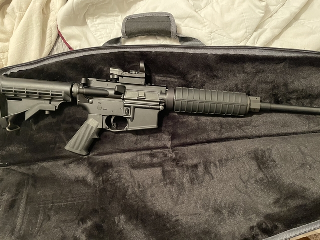 Delton Sport Ar-15 - Nex-tech Classifieds