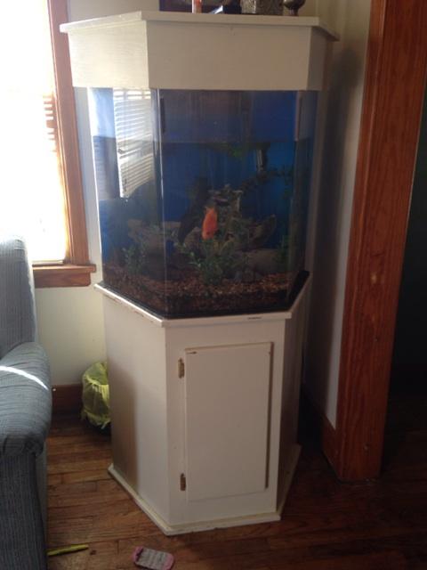 Octagon fish clearance tank