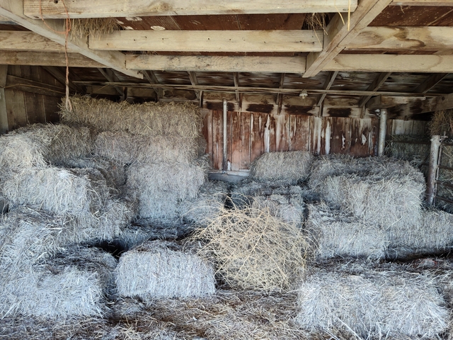 Grass hay - Nex-Tech Classifieds