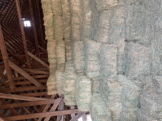 Alfalfa Bales Nex Tech Classifieds