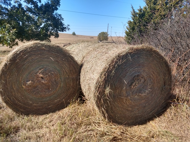 prairie-hay-5-round-bales-nex-tech-classifieds