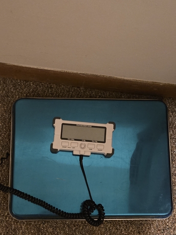 Plus Size Digital Scale - Nex-Tech Classifieds