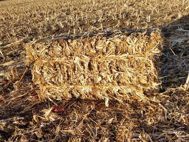 Small Bales Of Cornstalks Nex Tech Classifieds