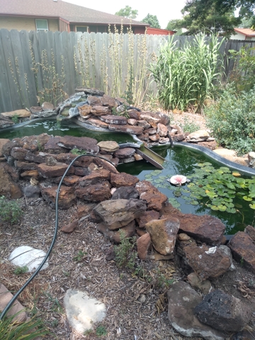 Landscape/ fish pond - Nex-Tech Classifieds