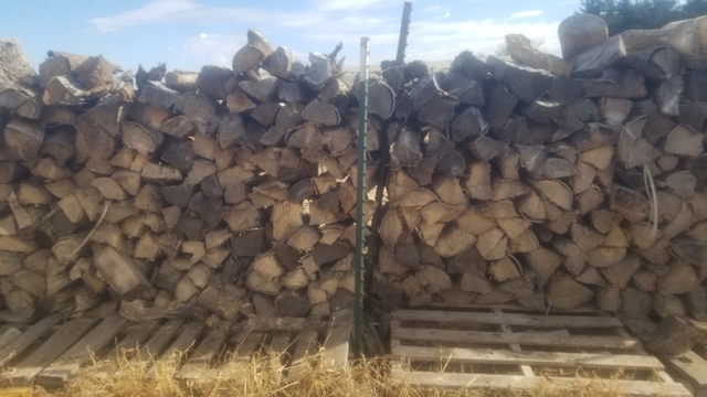 Firewood Ton