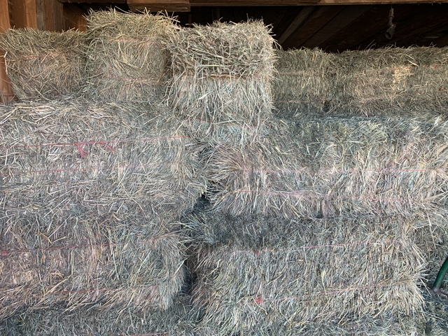 Small square hay bales - Nex-Tech Classifieds