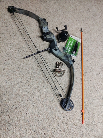 Compound bow, bow fishing