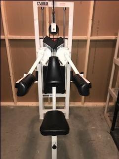 Cybex lateral raise online machine