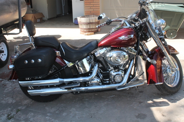 2008 Flstn Softail Deluxe Harley - Nex-Tech Classifieds