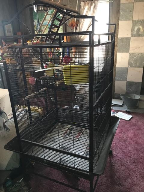 large bird cages for sale