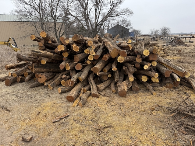 Fresh cut hedge posts - Nex-Tech Classifieds