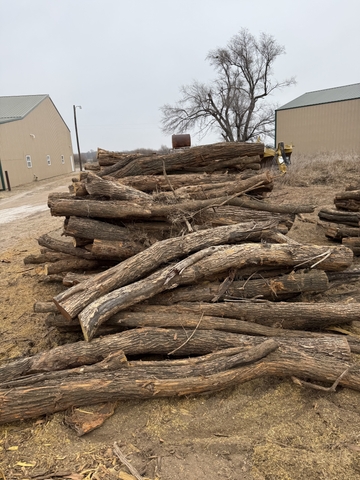 Fresh cut hedge posts - Nex-Tech Classifieds