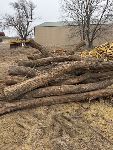 Fresh cut hedge posts - Nex-Tech Classifieds