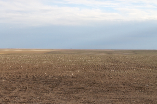 LAND AUCTION! 670 +/- ACRES CROPLAND - CHEYENNE CO, COLO - Nex-Tech ...