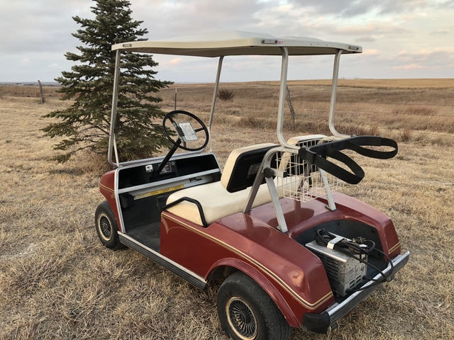 1987 Club Car DS Electric golf cart to mini truck conversion