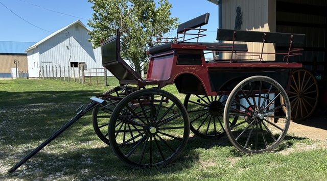 Never Used Robert Carriages 6 Passenger Wagonette - Nex-Tech Classifieds