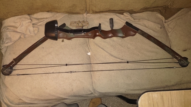 Browning compound Nomad 2 50% let off - Nex-Tech Classifieds
