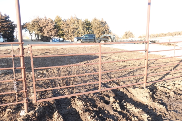 Cattle Head Gate Design