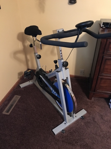 gold's gym recumbent bike