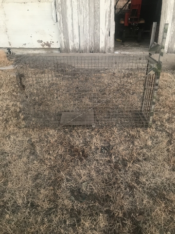 Bobcat live traps - Nex-Tech Classifieds